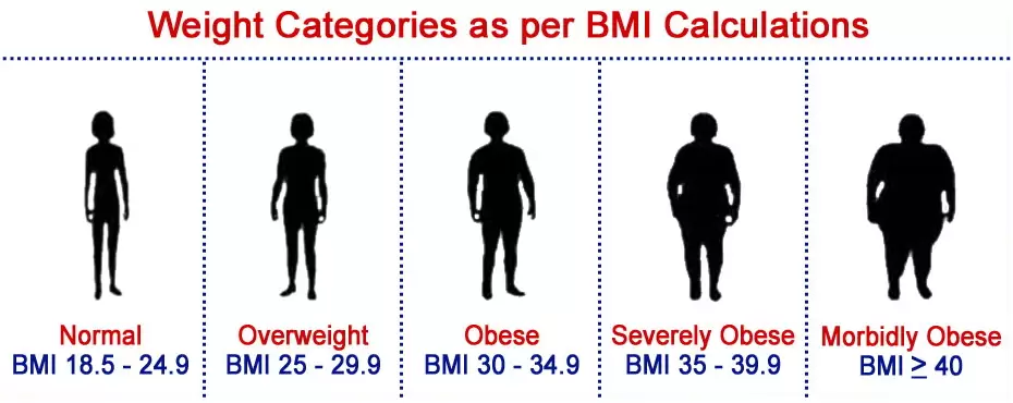 body mass index scale